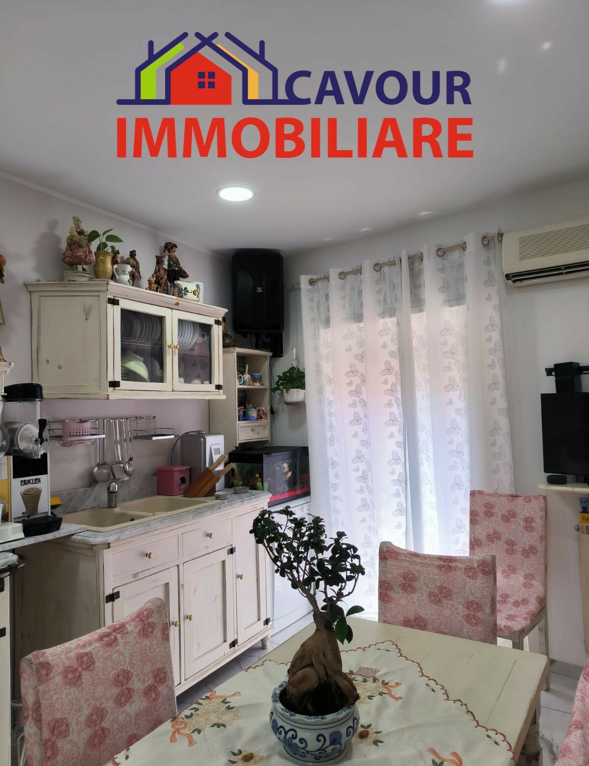 whatsapp-image-2025-06-11-at-12-(1).32.05.jpeg