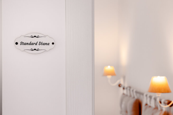 standard diana ingresso (2).jpeg