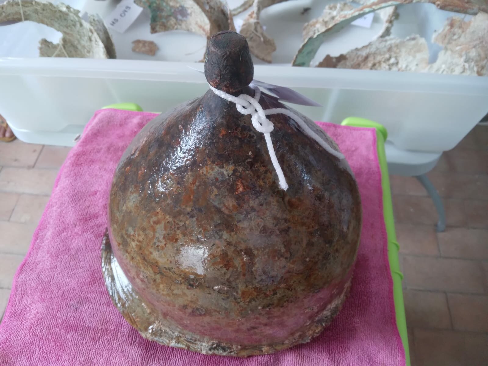 Il mare delle Egadi restituisce un elmo montefortino Il mare delle Egadi restituisce un elmo montefortino