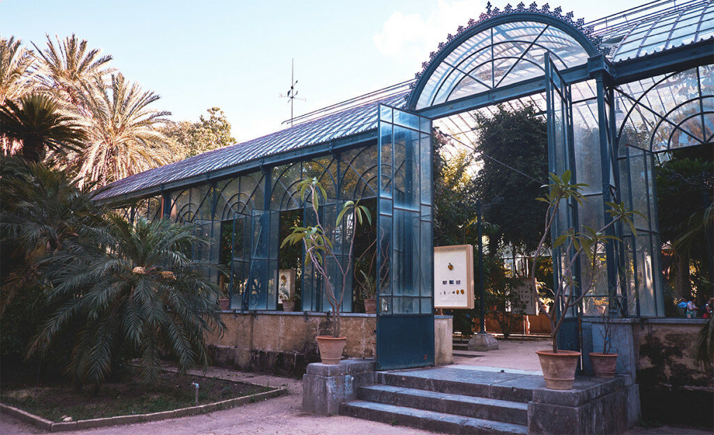 Giornata di studi sulla conservazione di piante rare siciliane