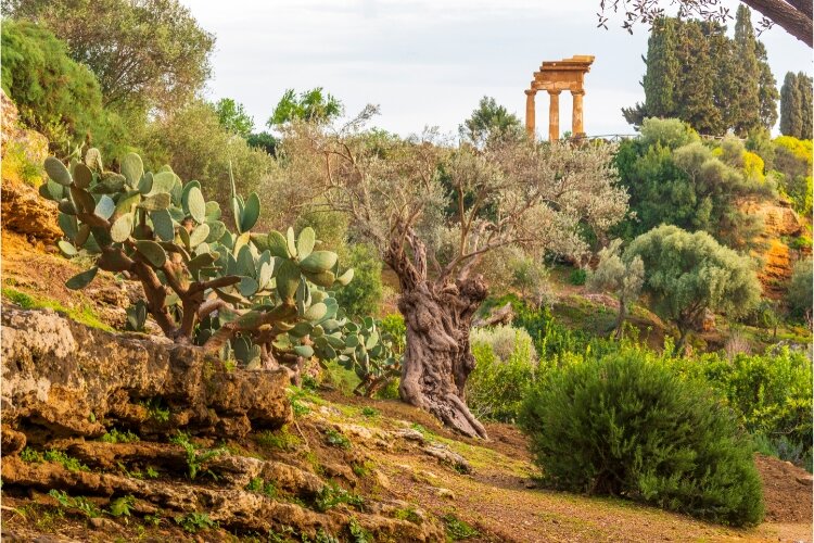 Sere Fai d'estate al giardino della Kolymbethra