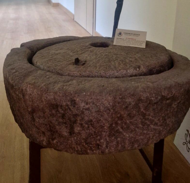 museo-agro-pastorale.jpeg museo-agro-pastorale.jpeg