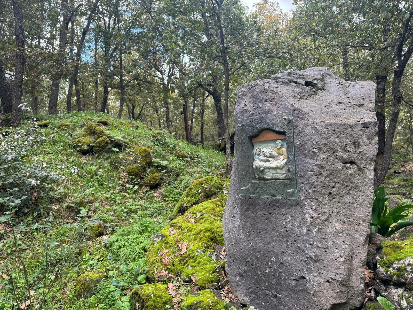 Il parco Sciarrone racconta la forza dell'Etna
