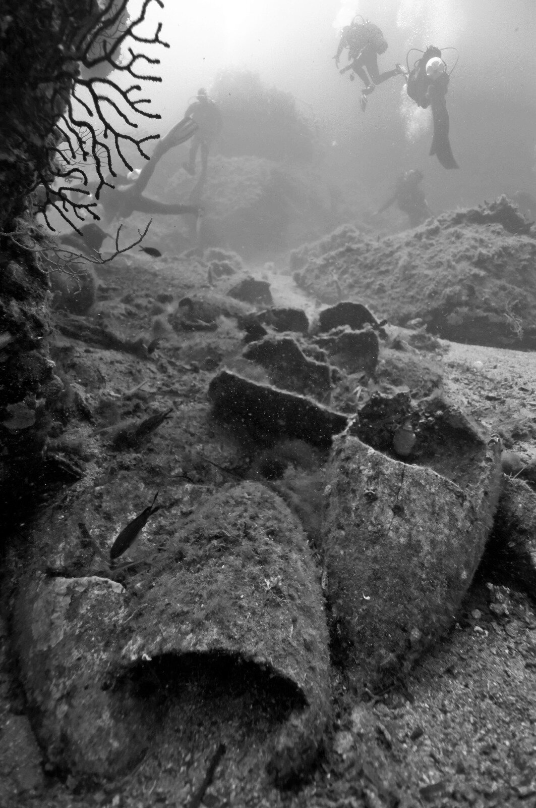 le-anfore-del-relitto-a-di-capo-graziano_photo-soprintendenza-del-mare-.jpeg le-anfore-del-relitto-a-di-capo-graziano_photo-soprintendenza-del-mare-.jpeg