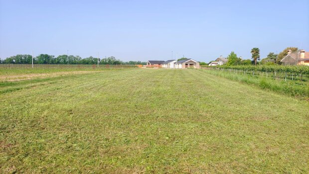 Terreno Edificabile Residenziale in Vendita a Giavera del Montello