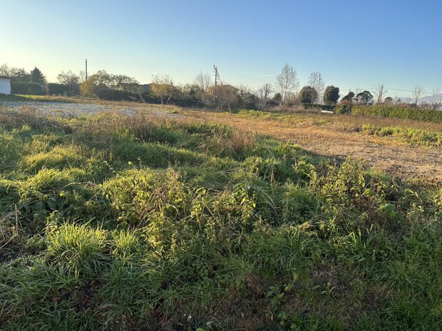 Terreno Edificabile Residenziale in Vendita ad Arcade - Centro