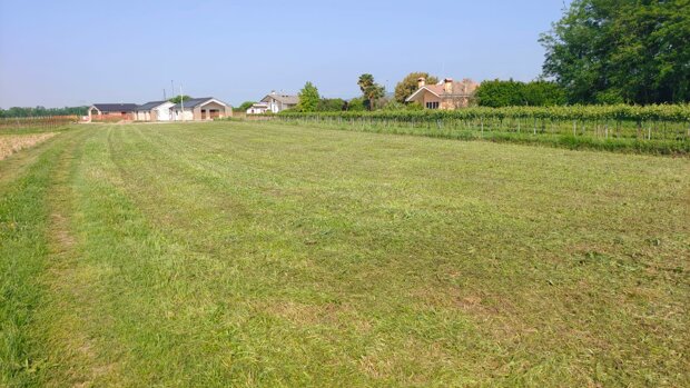 Terreno Edificabile Residenziale in Vendita a Giavera del Montello