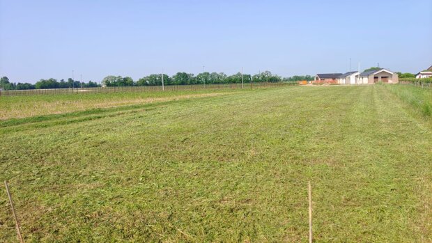 Terreno Edificabile Residenziale in Vendita a Giavera del Montello