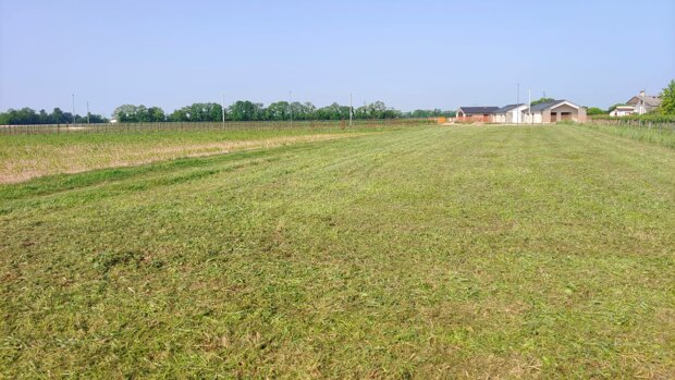 Terreno Edificabile Residenziale in Vendita a Giavera del Montello
