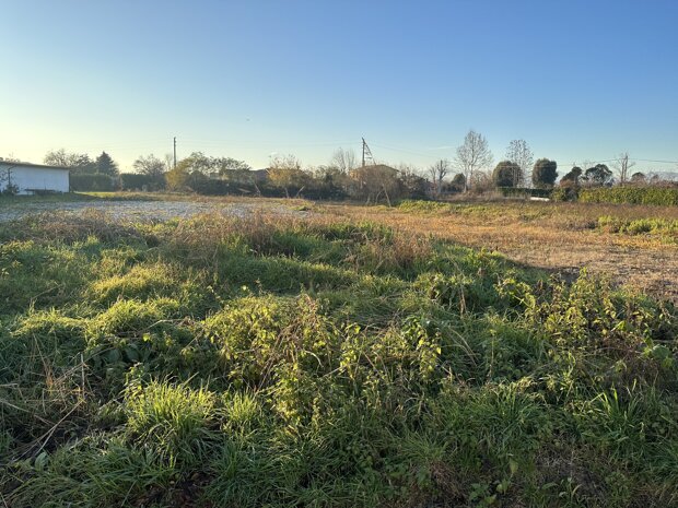 Terreno Edificabile Residenziale in Vendita ad Arcade - Centro