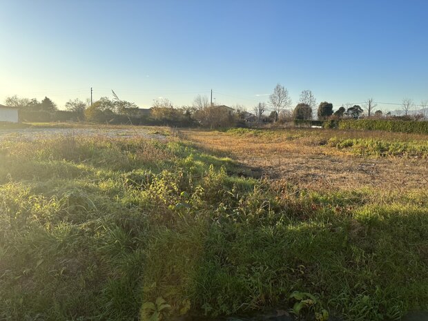 Terreno Edificabile Residenziale in Vendita ad Arcade - Centro