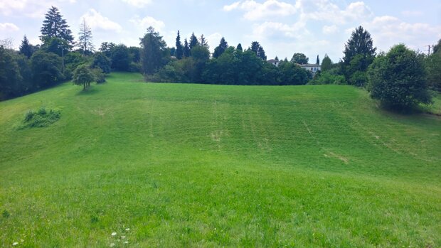 Casale sul Montello con 23.000 mq di terreno