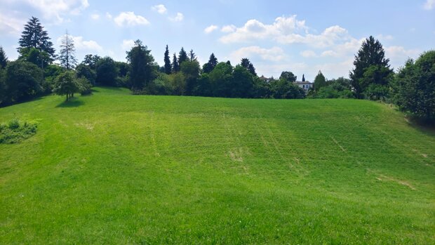 Casale sul Montello con 23.000 mq di terreno