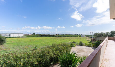 ric04572.jpeg ric04572.jpeg