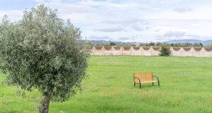 ric04608.jpeg ric04608.jpeg