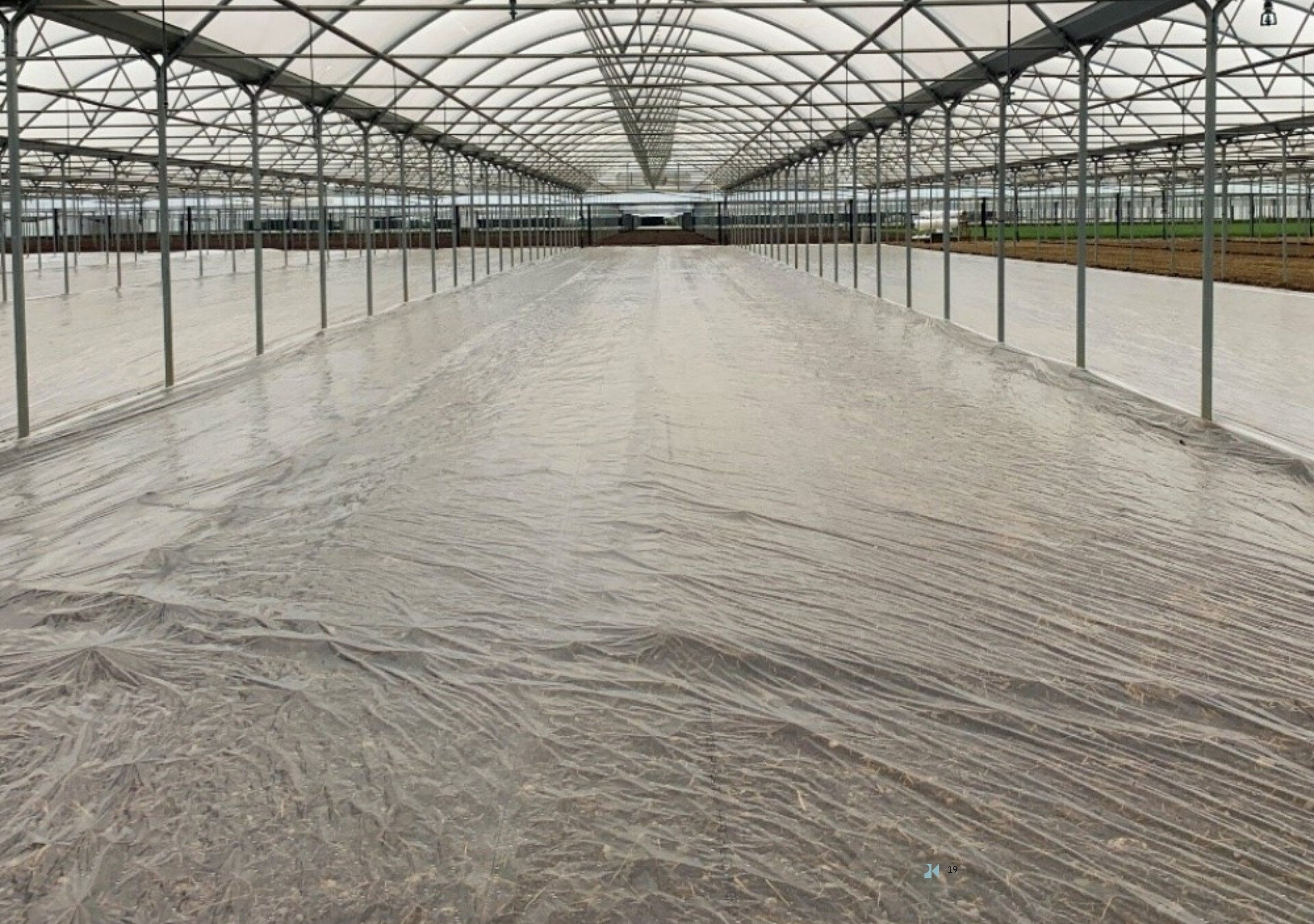 Solarizzazione moderna: integrazione di pratiche agronomiche e total impermeable film