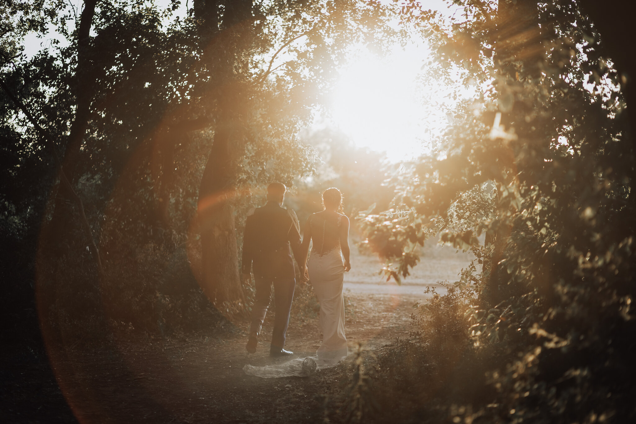r61_2384.jpeg