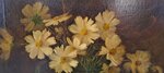 natura-morta-con-margherite-gialle-melograno-e-frutta-olio-su-tela-xx-sec