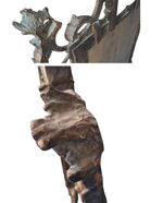 specchiera-in-legno-intagliato-veneto-xix-sec