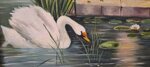 scena-romantica-con-dama-e-cigni-sul-fiume-olio-su-tela-inizi-xx-sec