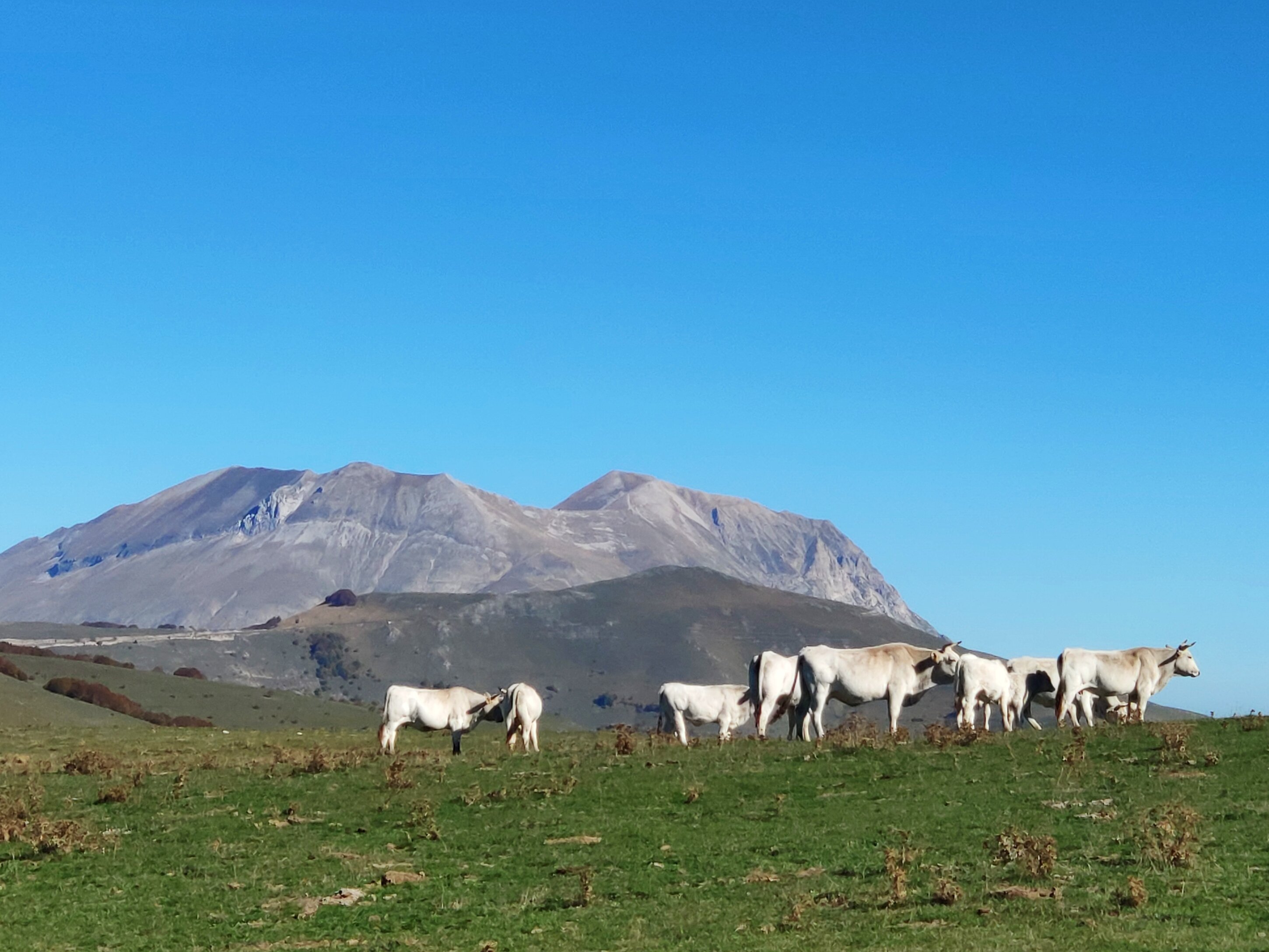 I Pantani di Accumoli