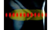 lunaweb246ggggg.jpeg lunaweb246ggggg.jpeg