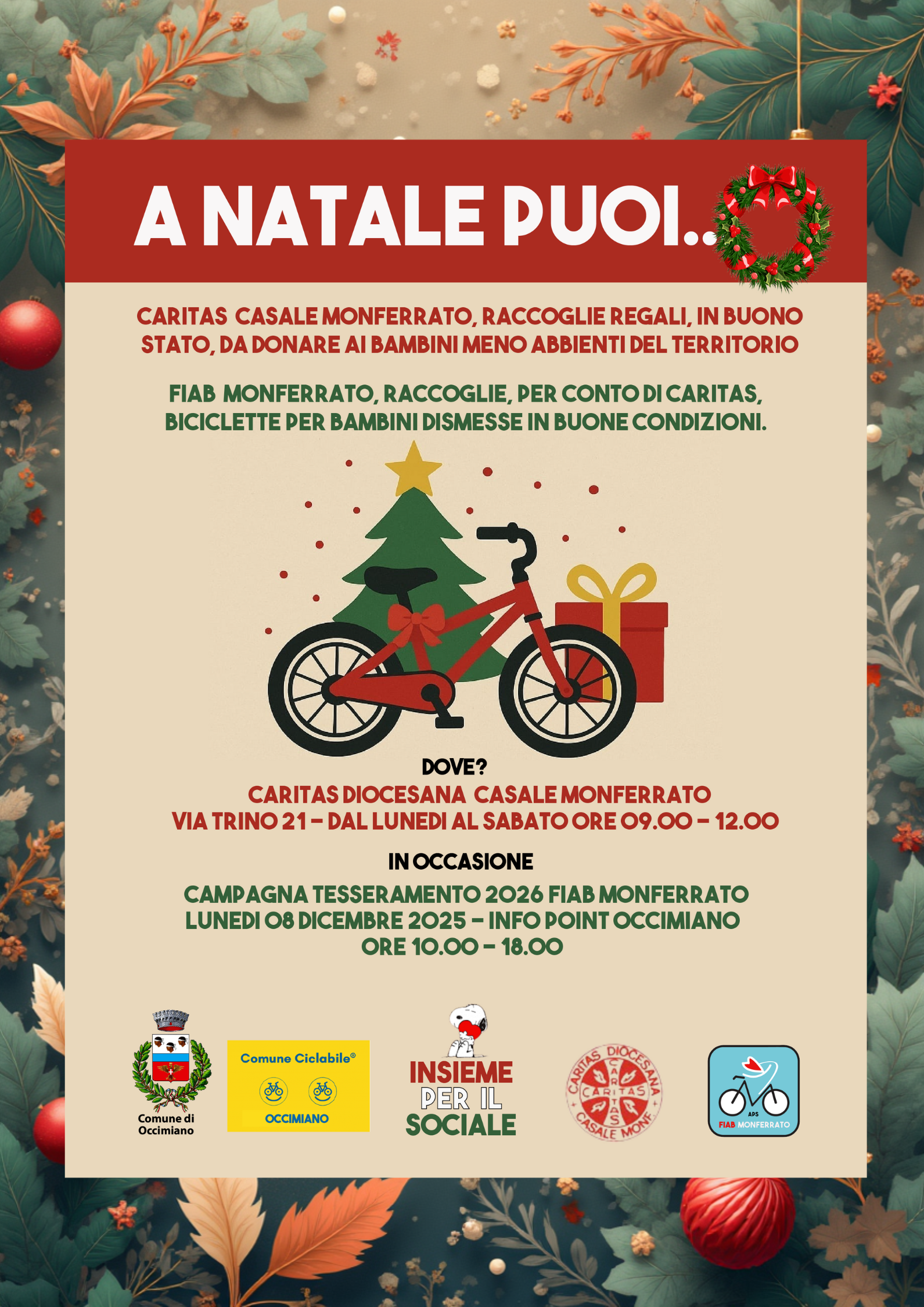 bis-occimiano-a-natale-puoi.png