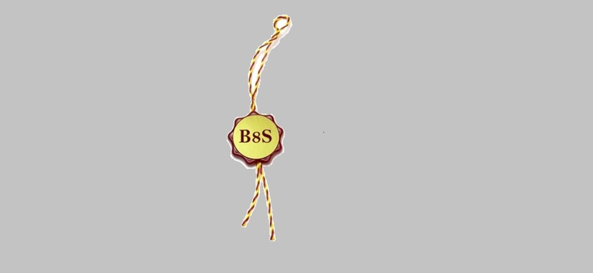 b8s-prova_per_sito_3