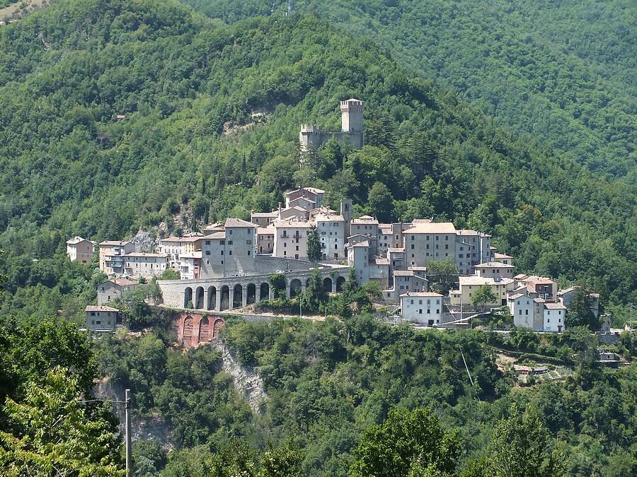 Articoli: Arquata Del Tronto