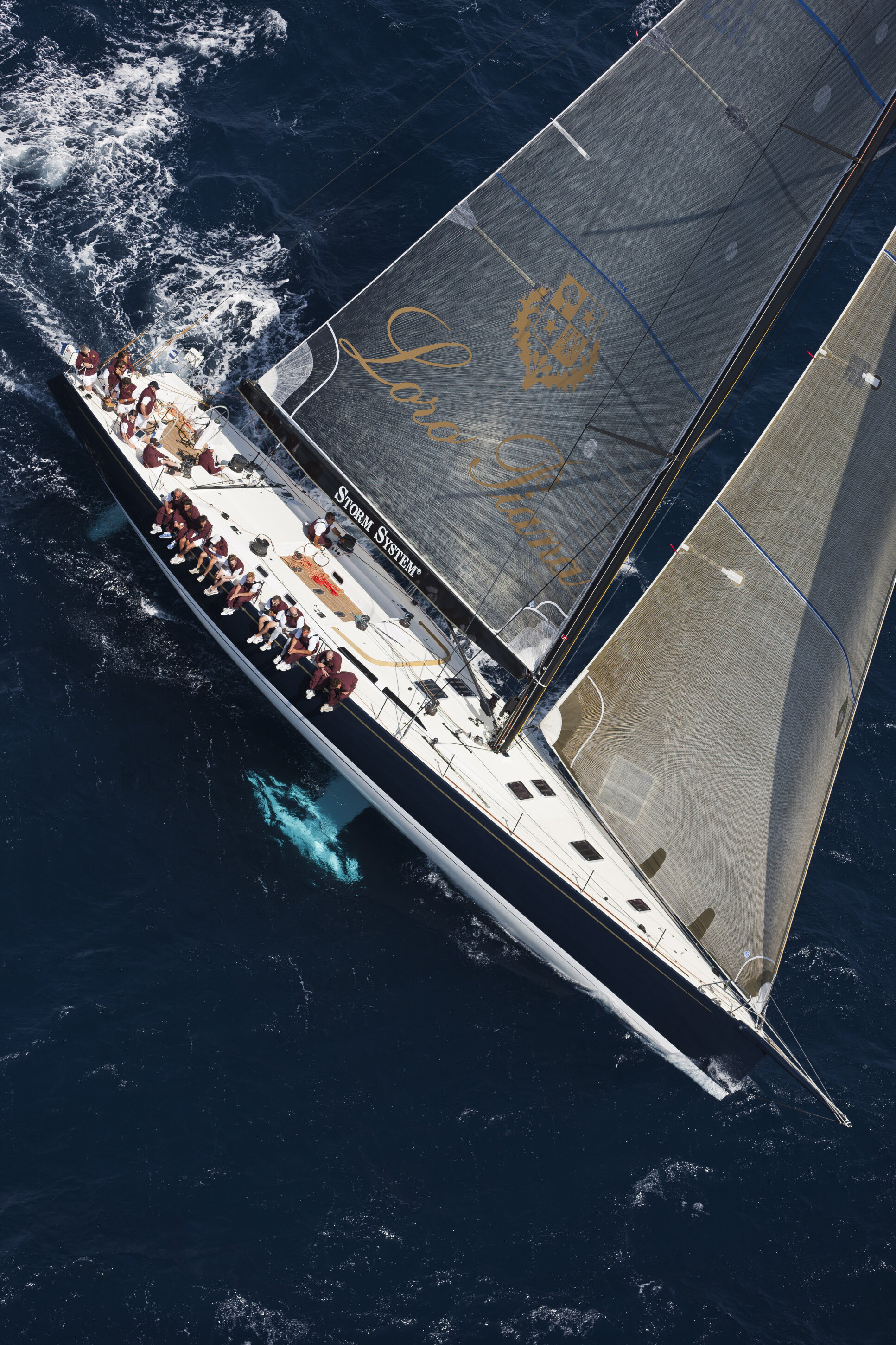 loropianasyr2012cb_01526.jpeg
