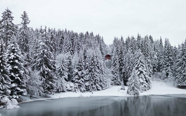lakewintersnowforesttreeshdwallpaper1