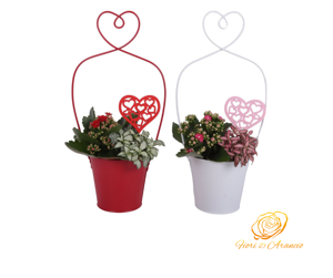 composizione-in-latta-con-manico-a-cuore
