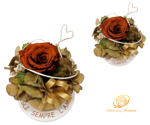 scegli-sempre-lamore-rose-stabilizzate-che-raccontano-lo-stesso-significato-con-colori-diversi