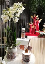 angeli-slim-rossi-con-ali-dorate