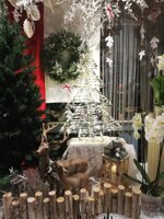 cervo-con-cucciolo-tonosutono