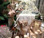 cervo-con-cucciolo-tonosutono