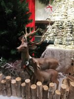 cervo-con-cucciolo-tonosutono