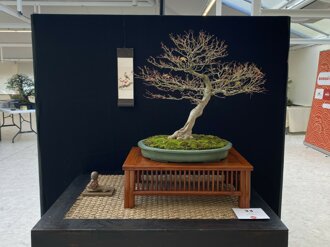 2024 10 paris culture expo (2) - copie.jpeg