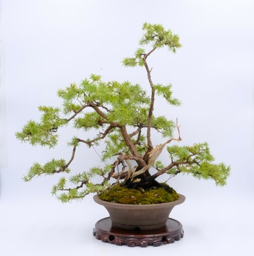 2023 06 juin 5 mise en forme finale (1) - copie.jpeg