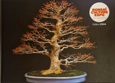 bonsai culture livre (1).jpeg