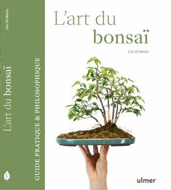 couverture livre jpge.jpeg