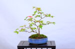 josette-erable-trident-sankan-ref-acer-57