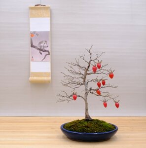 2022 12 decembre kaki (1).jpeg