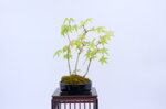mona-cepee-derables-ref-acer-47