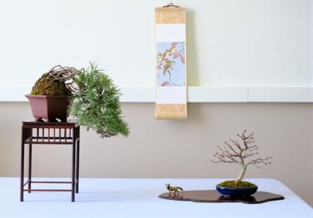 composition site (1).jpeg