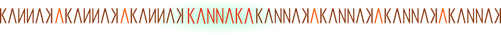 kannaka strap 1