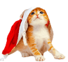 kitten-santa-claus_edited kitten-santa-claus_edited