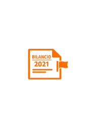 icona bilancio annua 2021