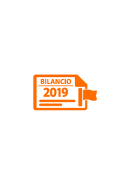 icona bilancio 2019