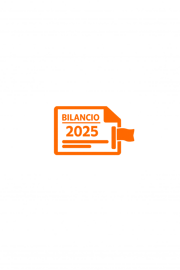 icona bilancio 2025
